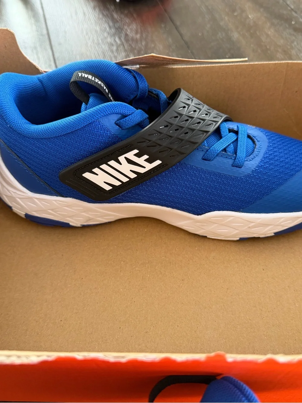 Nike Kids Royal Blue Hook-and-Loop Sneakers
